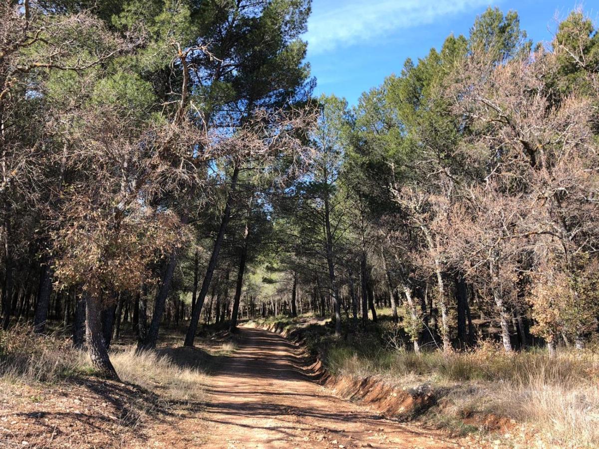 De Felipe Casa Rural Horche Buitenkant foto