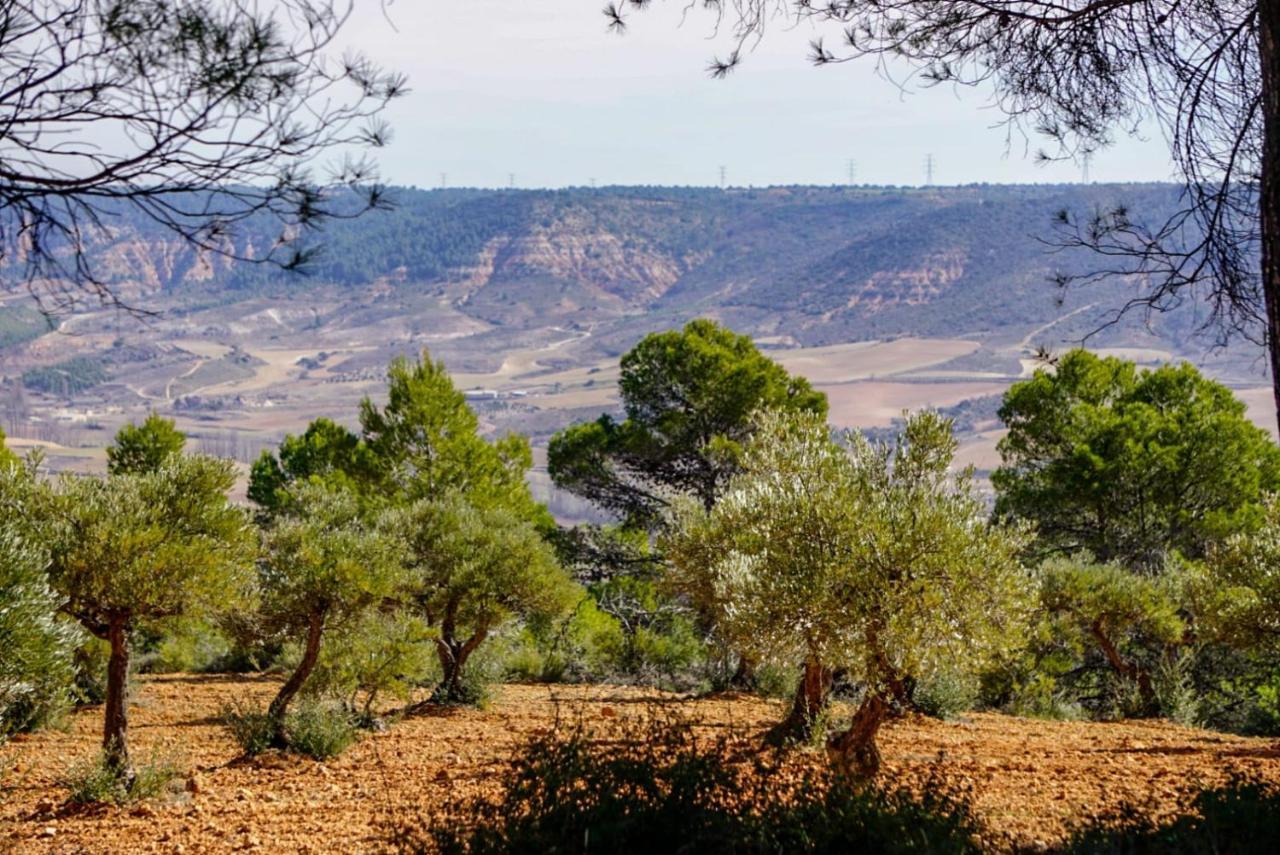 De Felipe Casa Rural Horche Buitenkant foto